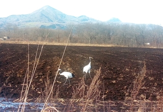 201127-120500.jpg
