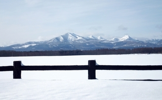 DSCF0580.jpg